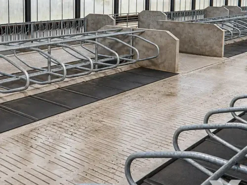 Madraci za krave od gume na izdignutim pojedinačnim ležištima uz betonski prolaz